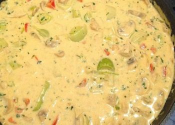 Hähnchen-Curry-Lauch-Suppe
