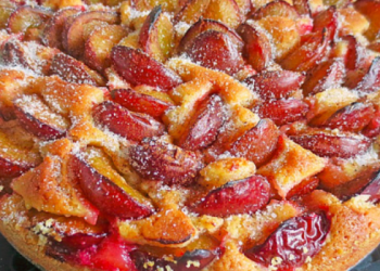 Pflaumenkuchen (Einfacher, schneller Kuchen für eine Springform)