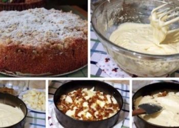 Apfelkuchen mit Schmand und Rosinen