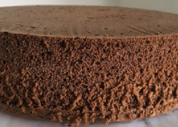 Der einfachste Kakao Tortenboden (Grundrezept)Der einfachste Kakao Tortenboden (Grundrezept)