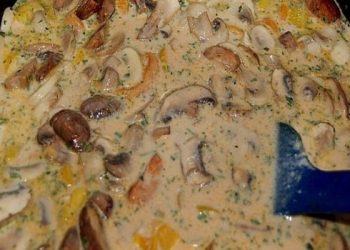 Puten Sahne Gulasch auf Bandnudeln