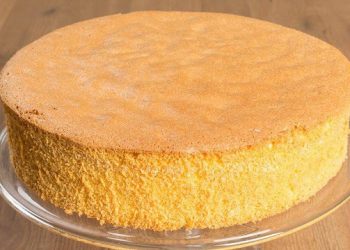 Bäckermeister Biskuitboden