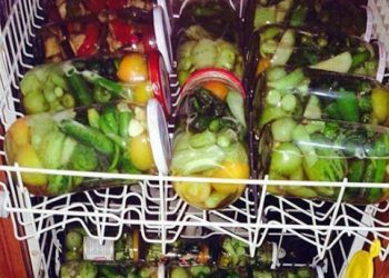 Ein genialer Tipp-Gewürzgurken im Geschirrspüler einkochen