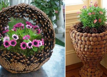 Heruntergefallene Zapfen sammeln: 15 geniale Ideen für eure Herbstdeko