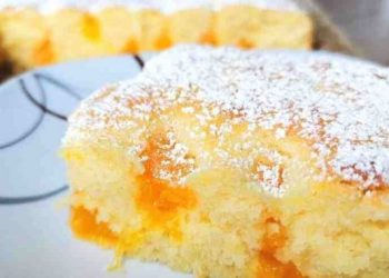 Ruck Zuck Buttermilchkuchen mit Mandarinen