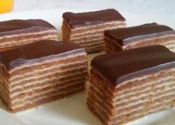 Honig-Nuss-Schnitten mit Schokolade