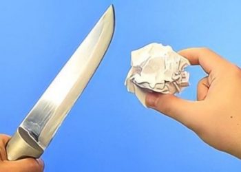 Der Kauf guter Messer ist nicht schwierig, aber Sie müssen wissen, wie man sie richtig schärft, damit sie immer effizient sind . Auf dem Markt sind sie in verschiedenen Materialien zu finden. Und in der Tat gibt es eine wirklich große Auswahl und manchmal kann es sogar schwierig sein, sich zum Zeitpunkt des Kaufs zu entscheiden. Wir finden solche aus Edelstahl, die im Gegensatz zu Stahl allein nicht rosten. Es ist eines der meistgewählten Messer, gerade wegen seiner Qualität, aber auch wegen seiner Widerstandsfähigkeit. Und dann die Keramik, die besonders angezeigt ist, wenn Sie säurehaltige Lebensmittel schneiden müssen . Es ist sehr widerstandsfähig und sehr praktisch, da es sehr leicht ist. Allerdings ist es sehr zerbrechlich. So schärfen Sie ein Messer Um zu überprüfen, ob Ihre Messer absolut effizient sind, können Sie daher zunächst einige Tests durchführen. Wenn Sie sehen, dass nichts passiert, wenn Sie eine Tomate, einen Schwamm zum Geschirrspülen oder einfaches Papier schneiden, bedeutet dies, dass es an der Zeit ist, einzugreifen. Aber wie? Hier ist die Methode, um Messer wie Rasiermesser zu schärfen . Wenn wir verstanden haben, dass die Messerklingen nicht mehr scharf sind, werfen Sie sie auf keinen Fall weg, denn es ist möglich, sie mit wenigen Handgriffen wieder so gut wie neu zu machen, was wir uns jetzt gemeinsam ansehen werden. Dies sind einige Verfahren, mit denen Sie Ihre Klinge wieder wie neu machen können. Folgendes müssen Sie tun : Nehmen Sie zuerst ein Stück Holz, einen alten Schreibtisch oder eine alte Schranktür und zeichnen Sie den Kreis mit Hilfe eines Zirkels. Mit der elektrischen Stichsäge für Holz schneiden Sie das Holz in die gewünschte Form. Sie werden mit einem Holzkreis enden. Bohren Sie nun ein Loch in die Mitte der Holzscheibe und nehmen Sie eine Gehrungssäge. Ersetzen Sie die vorhandene Scheibe durch die Holzscheibe. Führen Sie zuerst das Schleifpapier und dann die Messerklinge sehr vorsichtig durch Sie werden sehen, dass die Klinge nach diesen Schritten wieder sehr scharf ist, und wenn Sie die zuvor durchgeführten Tests erneut durchführen, funktioniert das Messer jetzt. Dann schneidet er die Tomate, den Schwamm zum Geschirrspülen und das Blatt Papier. Diese Methode ist wirklich effektiv, aber Sie müssen sehr vorsichtig sein. Tatsächlich beinhaltet diese Methode die Verwendung von Arbeitsprodukten, die für eine unerfahrene Person gefährlich werden können. Das Schärfen von Messern auf diese Weise sollte nur von Fachleuten durchgeführt werden, die in der Lage sind, diese Werkzeuge zu verwenden, und daher ist dies keine Methode, die Sie selbst zu Hause durchführen können.