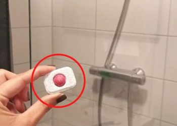 Legen Sie 1 Spülmaschinentab in die Dusche, warum sollten Sie es versuchen