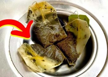 Warum ist es ratsam, vor dem Schlafengehen einen Teebeutel ins Waschbecken zu legen? Der geniale Trick listiger Hausfrauen