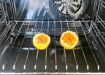 6 Tipps, um Mücken vom Haus fernzuhalten: Sie trauen sich nicht zurück