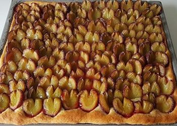 Pflaumenkuchen
