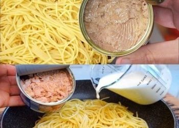 Spaghetti mit Thunfisch und Sahne Soße: Super lecker und super einfach