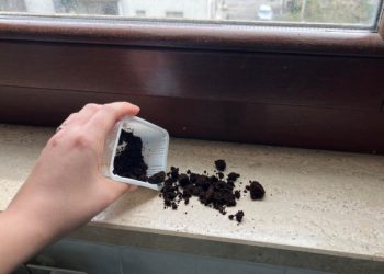 Kaffeesatz auf Fensterbänken: löst ein sehr häufiges Problem