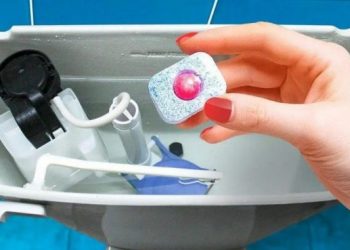 Das Badezimmer wird eine Woche lang duften: Alle Ihre Gäste werden das Geheimnis erfahren wollen