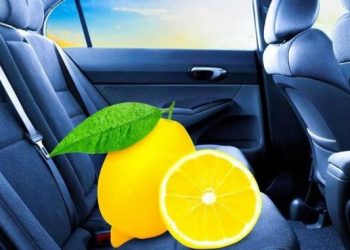 Lassen Sie Zitrone immer im Auto: Das kann Ihnen ein großes Problem ersparen