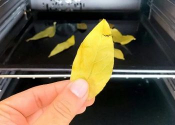 Lorbeerblätter für 20 Minuten in den Ofen geben: Der clevere Trick, den alle Hausfrauen machen