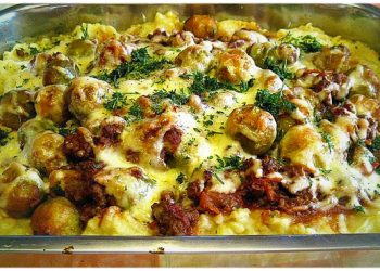 Zutaten: 500 g Hackfleisch von rind, gemischt 1 kg Kartoffel(n), fest kochend 2 m.-große Zwiebel(n) 1 Beutel Rosenkohl, frisch oder TK 2 Becher Sahne-Schmelzkäse Maggi, oder 2-3 EL Brühe Salz und Pfeffer 300 ml Milch Mehl Butter Paniermehl Zitronensaft Zubereitung: Rosenkohlauflauf mit Hackfleisch und Kartoffeln Lieblingsauflauf unserer Familie – super lecker und einfach.