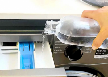 So reinigen Sie ganz einfach die ganze Waschmaschine für 3 Cent