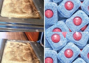 Spülmaschinen-Tabs können tatsächlich den Backofen reinigen – so geht’s