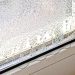 Warum schwitzen Fenster im Winter: Hier ist der Grund