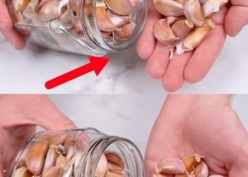 Knoblauch ein ganzes Jahr lang immer frisch und intakt