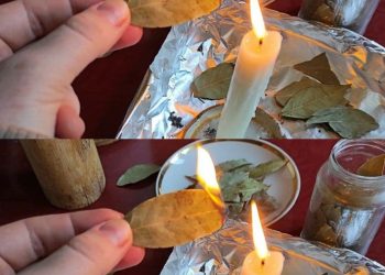 Tatsächlich sind sie eines der kulinarischen Geheimnisse der mediterranen Küche . Lorbeerpflanze: Eigenschaften und Kuriositäten Es ist eine Pflanze, die in 1 bis 3 Meter hohen Büschen wächst und viele Zweige hat. Die Blätter ähneln spitzen Speeren, haben eine ledrige Textur, sind aber flexibel und glänzend. Seine Früchte sind kugelig, klein und schwarz. Sie wächst besonders in heißen, halbtrockenen, trockenen und gemäßigten Klimazonen von 10 bis 2900 Metern über dem Meeresspiegel. Schüssel mit Lorbeerblättern Lorbeer wird auch häufig in Reinigungs- und Schönheitsmitteln eingesetzt und wirkt sich auch in ungeahnten Grenzen positiv auf unsere Gesundheit aus. Sein Hauptanwendungsgebiet ist die Linderung von Magenschmerzen und wird als Infusion empfohlen. Eine Handvoll Lorbeerblätter Es ist jedoch bekannt, dass Lorbeerblätter noch viele weitere Vorteile haben. Es ist beispielsweise bekannt, dass diese Pflanze entspannend wirkt, entzündungshemmende Eigenschaften hat und dank aller darin enthaltenen Mineralien und Vitamine wie Eisen, Kalzium, Magnesium, Zink, Kalium, Phosphor, Vitamin A und Riboflavin das Immunsystem stärkt , Niacin, Eugenol und Cineol, um nur einige zu nennen. Obwohl es in Getränken, Suppen oder Eintöpfen verzehrt werden kann, gibt es auch eine andere Möglichkeit, es zu nutzen: die getrockneten Blätter selbst zu verbrennen , wodurch Dämpfe freigesetzt werden, die uns helfen können, uns besser zu fühlen. Es mag seltsam klingen, aber es kann Ihnen tatsächlich mehr Nutzen als Schaden bringen. Lassen Sie uns also herausfinden, warum Sie von diesem Mittel profitieren können. Vorteile des Verbrennens von Lorbeerblättern zu Hause Das Verbrennen einiger Lorbeerblätter und das Beduften der Umgebung verbessern die Gesundheit Ihrer Atemwege. Angesichts der schleimlösenden Eigenschaften dieser Pflanze könnten die austretenden Dämpfe beim Verbrennen ihrer Blätter dabei helfen, die Atemwege zu reinigen, die Beschwerden verursachen, da sie Bakterien beseitigen, die Umwelt reinigen und auch die Gehirnkapazität verbessern. Die Dämpfe verbrannter Blätter sollten nicht direkt eingeatmet, sondern an die Umwelt abgegeben werden. Wer unter Kopfschmerzen leidet, kann von dieser Pflanze profitieren, die dank ihrer entzündungshemmenden Eigenschaften hilft, das Problem zu bekämpfen und die durch schlechte Laune verursachten Beschwerden zu lindern . Tatsächlich gibt es mehrere Studien, die den Einsatz dieser Pflanze zur Behandlung von Kopfschmerzen befürworten. Aufguss aus Lorbeerblättern Dies liegt an der Mischung chemischer Substanzen in den Blättern, die sowohl den Körper als auch den Geist beruhigen können. Die regelmäßige Anwendung dieser Pflanze trägt dazu bei, emotionale Zustände zu reduzieren, die zu Unbehagen und Anspannung führen, und so einen Zustand wohltuender Entspannung zu erreichen. Jüngste Untersuchungen der American Association of Nurse Anesthetists haben das Vorhandensein der Substanz Linalool hervorgehoben, die in großen Mengen das Angstniveau deutlich reduzieren kann und deren Wirkung bereits 10 Minuten nach dem Einatmen der Dämpfe einsetzt. Luftbefeuchter im Wohnzimmer Lorbeerblätter zu Hause verbrennen