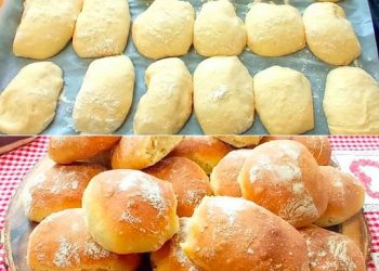 Bäcker Brötchen mit 3 Zutaten, Die leckersten Brötchen die ich bisher nachgebacken habe
