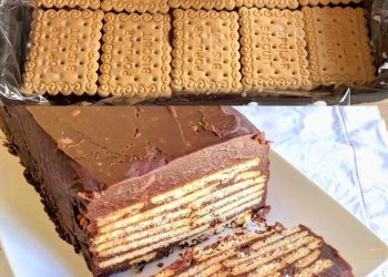 Blitzschnelle-Kalter Hund