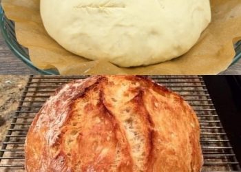 Brot ohne Kneten, ich will kein anderes mehr