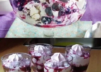 Leckeres heidelbeer-Mascarpone Dessert