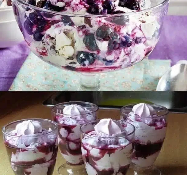 Leckeres heidelbeer-Mascarpone Dessert