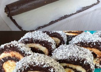 Schoko-Kokos-Rolle ohne Backen, der beste im ganzen Universum!