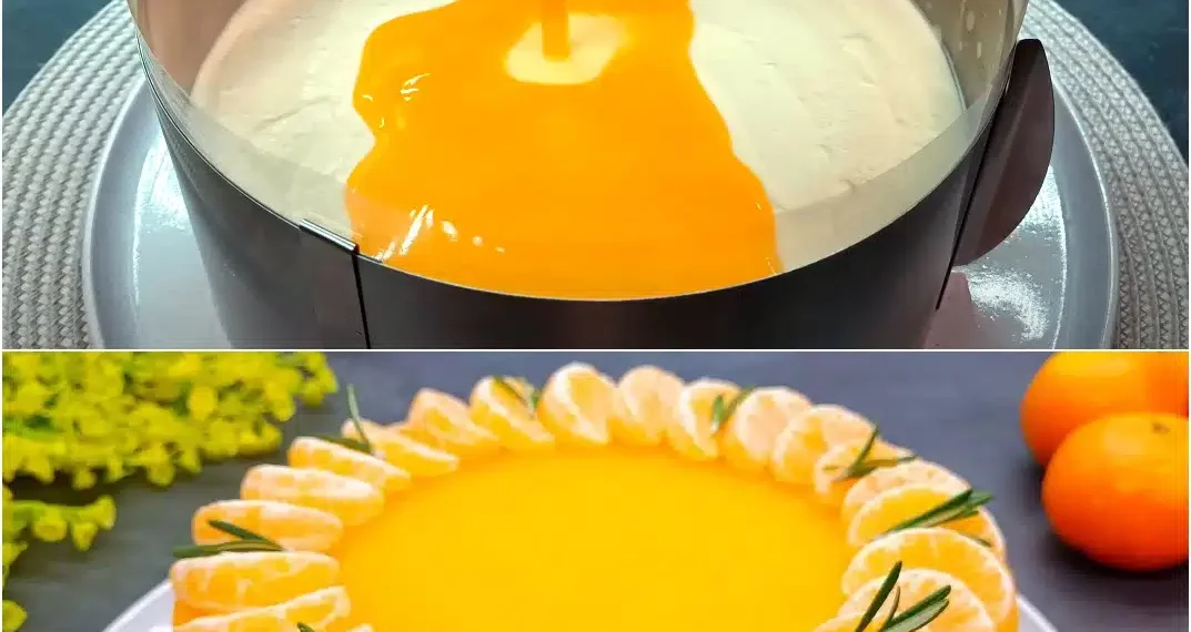 Ultimative Mandarinen – Frischkäsetorte: Torte ohne Backen in 15 Minuten