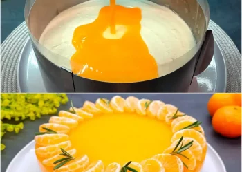 Ultimative Mandarinen – Frischkäsetorte: Torte ohne Backen in 15 Minuten