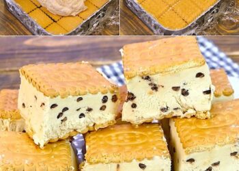 Tiramisu-Eiskekse: einfach und lecker