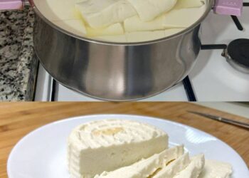1 Liter Milch, 1 Joghurt und eine halbe Zitrone reichen aus, um den besten hausgemachten Käse zuzubereiten