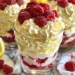 Genießen Sie dieses leichte und erfrischende Zitronen-Himbeer-Fluff – das perfekte Sommerdessert!