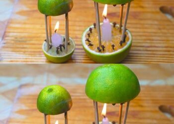 Mit diesem Mittel werden Sie nicht nur Ihr Haus parfümieren, sondern auch die Mücken fernhalten.