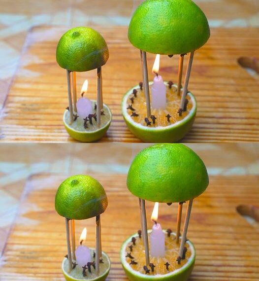 Mit diesem Mittel werden Sie nicht nur Ihr Haus parfümieren, sondern auch die Mücken fernhalten.