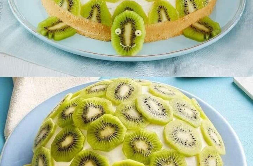 Schildkröten Torte Absolute Suchtgefahr