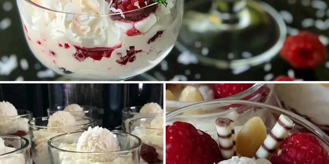 Raffaello Himbeer Dessert Rezept