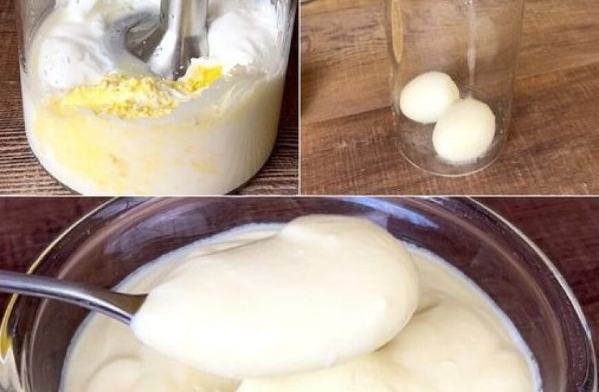 Mayonnaise in 2 Minuten zubereitet