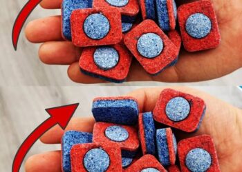 Meine Schwiegermutter kauft diese Tabletten, auch wenn sie keine Spülmaschine hat