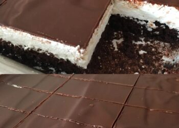 Schoko-Quark-Schnitten, die alle lieben werden