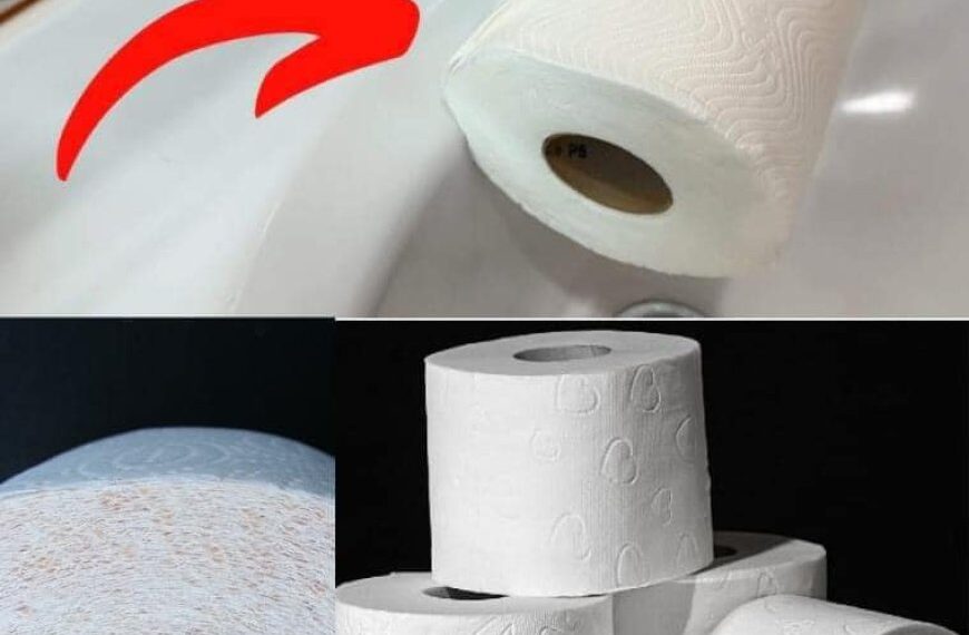 Toilettenpapier: Die größten Luxushotels verheimlichen diesen genialen Trick vor uns