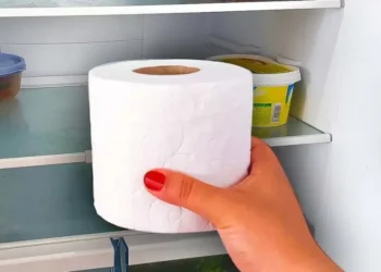 Toilettenpapier in den Kühlschrank legen: Der Zaubertrick, der ein Problem löst, das wir alle haben