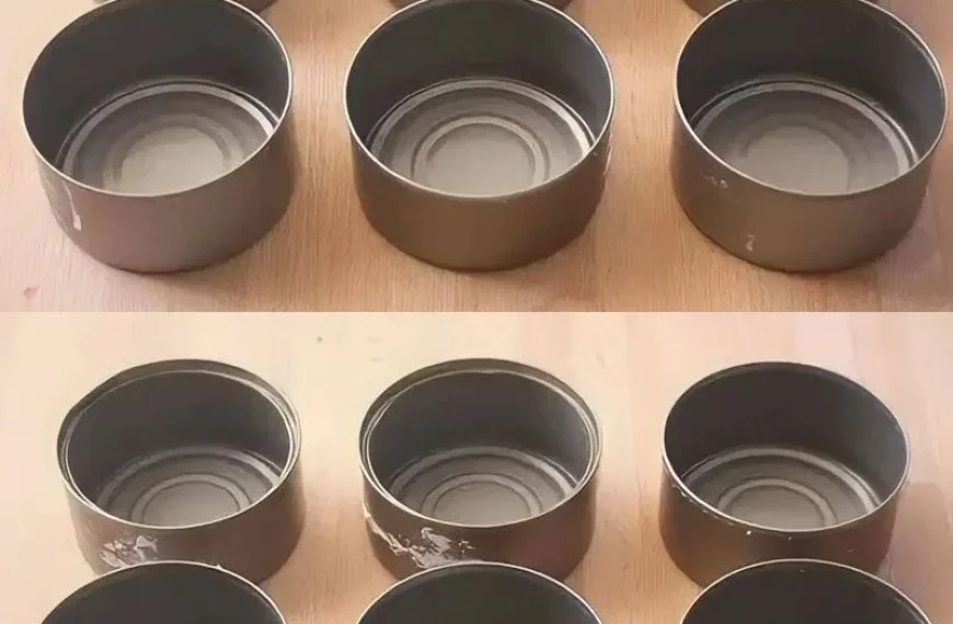 Werfen Sie Thunfischdosen nicht weg, sie sind zu Hause Gold wert: So verwenden Sie sie wieder