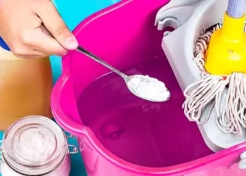 Warum muss dem Bodenwaschwasser Salz zugesetzt werden? Der Trick erfahrener Hausfrauen