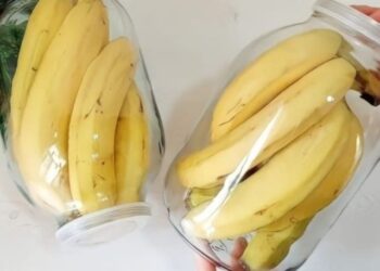 Keine faulen und schwarzen Bananen mehr nach ein paar Tagen: Mit dieser Methode halten sie 2 Jahre