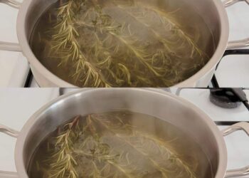 Kochen Sie 5 Rosmarinzweige, Sie werden ein lästiges Problem los